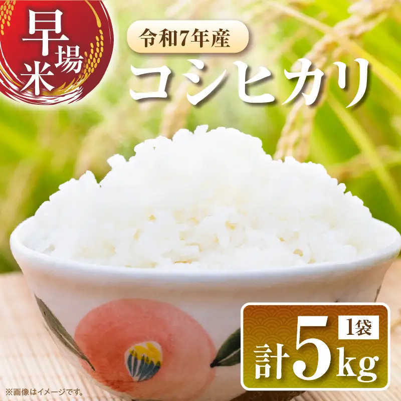 2週間以内に発送 早場米 令和7年産 コシヒカリ 計5kg_CA79-25