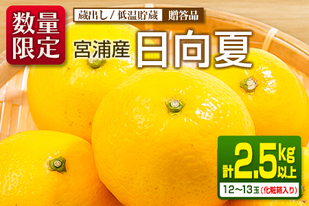 先行予約 宮浦産 蔵出し 日向夏 計2.5kg以上 化粧箱入り_BC130-25