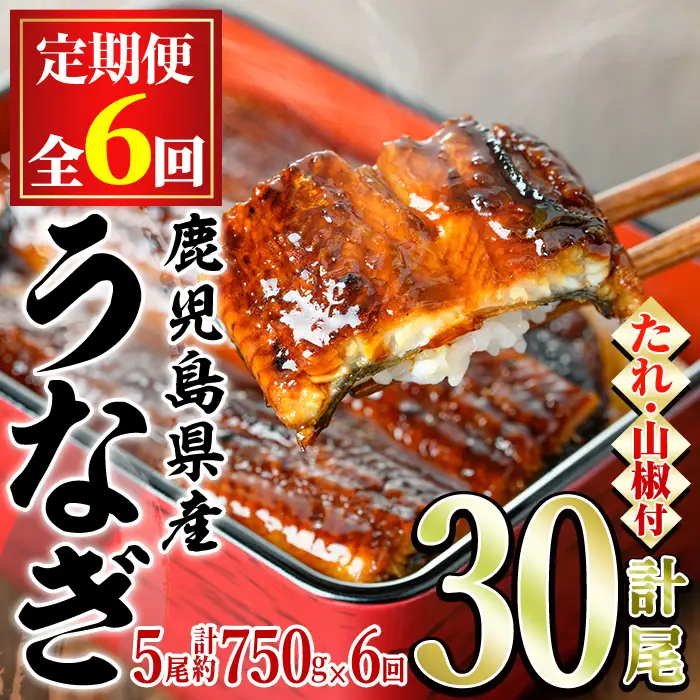 ＜定期便・全6回＞東串良町 うなぎ 蒲焼 (無頭)(5尾・計約750g・タレ、山椒付×6回) 高級 ウナギ 鰻 国産 たれ 鹿児島 ふるさと 人気【アクアおおすみ】【150041】