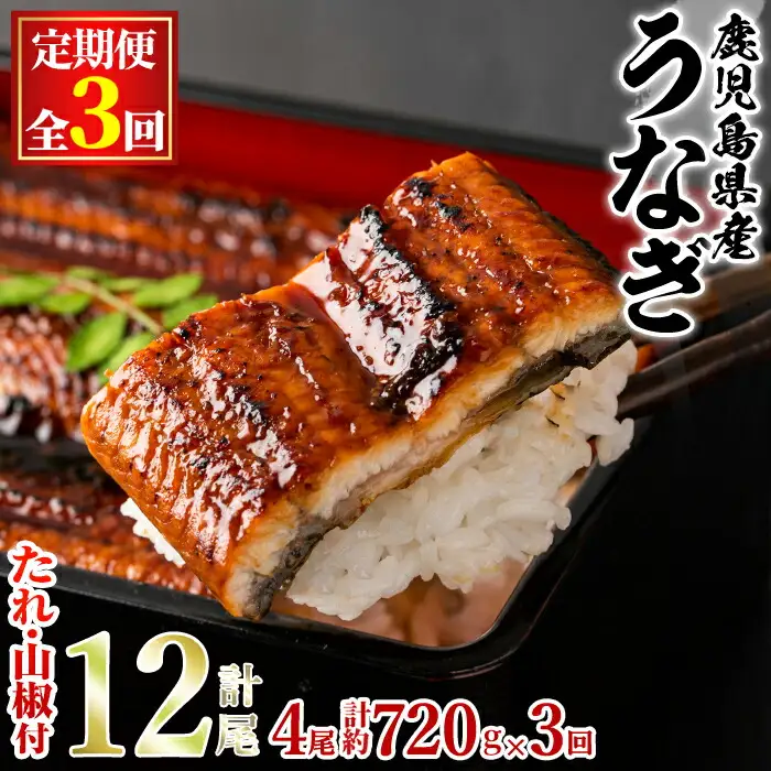 ＜定期便・全3回＞東串良町 うなぎ 蒲焼 (無頭)(4尾・計約720g・タレ、山椒付×3回) 高級 ウナギ 鰻 国産 たれ 鹿児島 ふるさと 人気【アクアおおすみ】【0754307b】