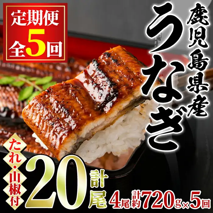 ＜定期便・全5回＞東串良町 うなぎ 蒲焼 (無頭)(4尾・計約720g・タレ、山椒付×5回) 高級 ウナギ 鰻 国産 たれ 鹿児島 ふるさと 人気【アクアおおすみ】【1254305b】