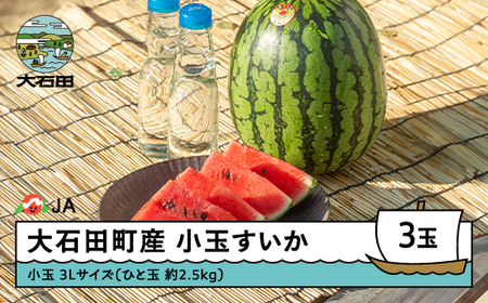 小玉すいか 3L×3玉 令和8年産 7月中旬~順次発送 山形県 ja-sukoa3