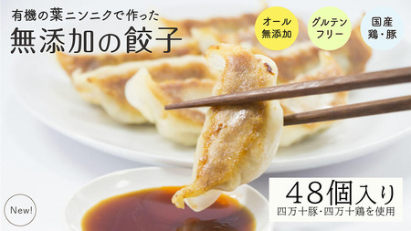 【餃子】葉にんにくと四万十豚で作った餃子(6個入りx8パック）