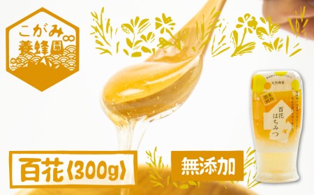 飛騨産 生蜂蜜 百花蜜 300g ギフト 蜂蜜 [Q1195wx]