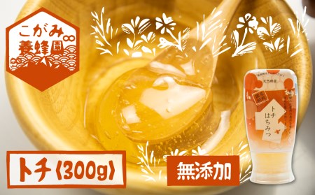 飛騨産 生蜂蜜 トチ蜜 300g 国産無添加 とち蜜 はちみつ ギフト ハニー 非加熱[Q1197wx]