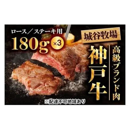 城谷牧場の神戸牛 ロース ステーキ 540g（180g×3枚）国産牛 和牛 神戸ビーフ バーベキュー BBQ 冷凍