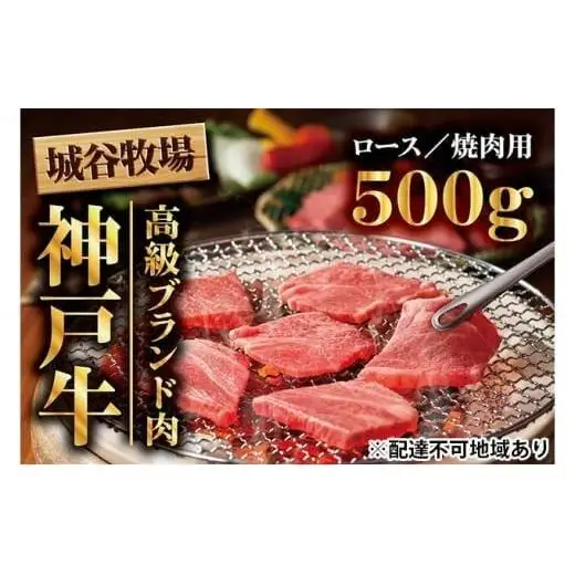 城谷牧場の神戸牛 ロース 焼肉 500g 国産牛 和牛 神戸ビーフ バーベキュー BBQ 冷凍
