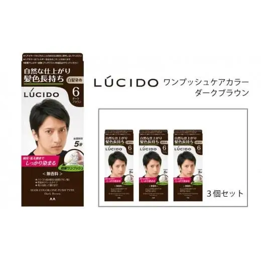 マンダム ルシード ワンプッシュケアカラー ダークブラウン 3個セット MA-16 LUCIDO 白髪染め 毛染め 白髪 カラーリング 男性化粧品