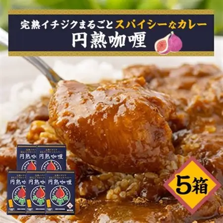 京都府城陽産　イチジクが丸ごと入った　スパイシーなカレー　5箱×1セット_惣菜・加工品 カレー  _【1136496】
