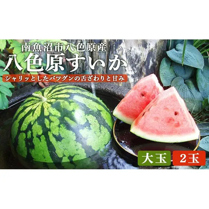 先行予約【高級】八色原すいか大玉２玉【2026年7月下旬発送】【お届け日時指定不可】