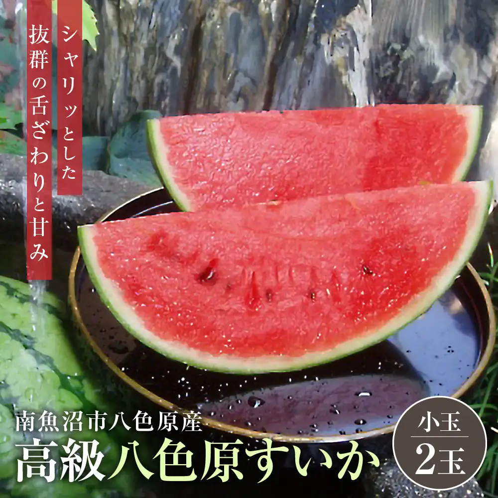 先行予約【高級】八色原すいか小玉２玉【2026年7月中旬発送】【お届け日時指定不可】