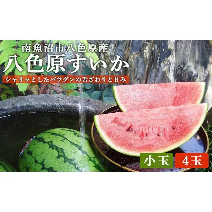 先行予約【高級】八色原すいか小玉４玉【2026年7月中旬発送】【お届け日時指定不可】