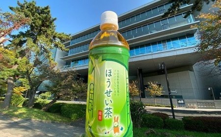 お茶 緑茶 ペットボトル 500ml 24本 大分県産 ／ 法政大学オリジナル緑茶「ほうせい茶」（杵築産茶葉使用）＜142-001＞