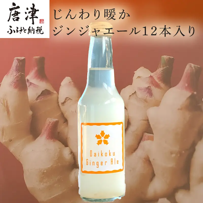 生姜濃縮 ジンジャエール 250ml×12本 生姜の味がギューッと1本に濃縮