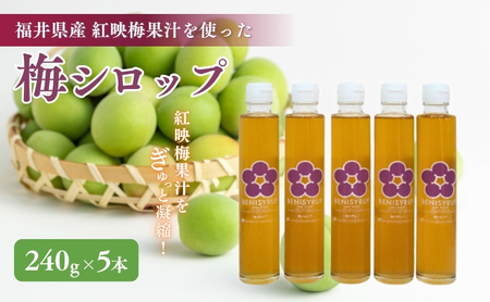 梅シロップ（ベニシロップ）5本 飲料 ドリンク 果実飲料 ジュース 飲料類 