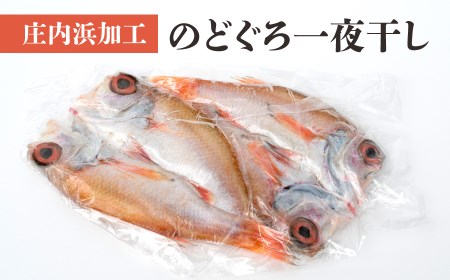 A01-406　庄内浜加工のどぐろ一夜干し2枚セット
