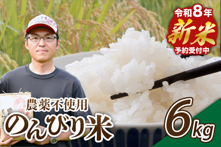 【予約受付】令和8年産・新米 のんびり米 6kg 令和8年産 南小国産 新米 米 白米 玄米 玄米対応可能 3kg 2袋 ご飯 ごはん お米 無農薬 農薬不使用 産地直送 河津農林 熊本 阿蘇 南小国町 送料無料