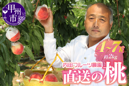 内田フルーツ農園の桃 4～7玉（約2kg）【2026年発送】（UF）B-161 桃 フルーツ