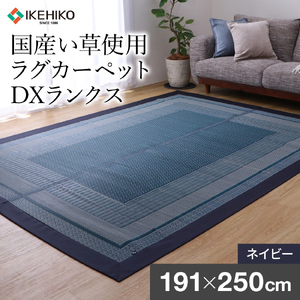 ＤＸランクス（191×250）（色：ネイビー）　AA157