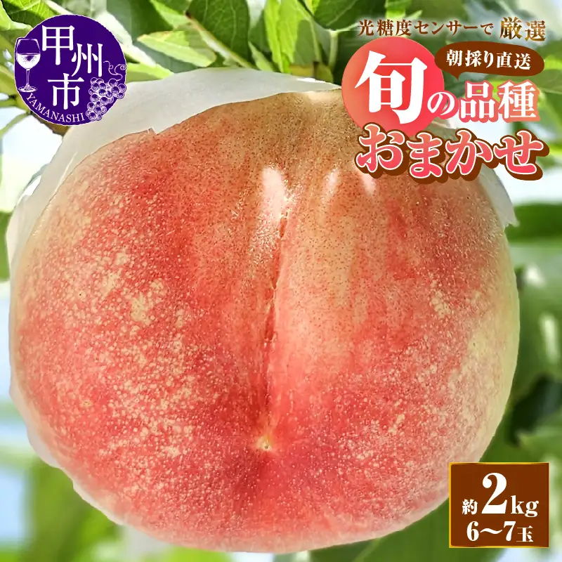 【朝採り農家直送】糖度13度以上の高糖度桃 約2kg（6～7玉）【2026年発送】（AF）B-450 桃 フルーツ