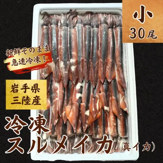 【鮮度そのまま急速冷凍】冷凍スルメイカ 小サイズ 30尾入り いか 刺身 イカ いかめし イカ焼き いか塩辛