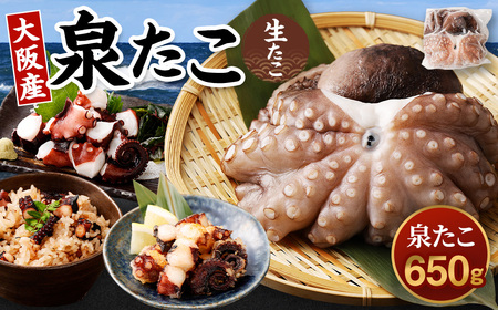 大阪産 泉タコ（生たこ）650g（1杯～3杯） 魚介類 海鮮 タコ たこ 真蛸 スミ抜き 塩もみ処理 下処理済み 簡単調理 冷凍
