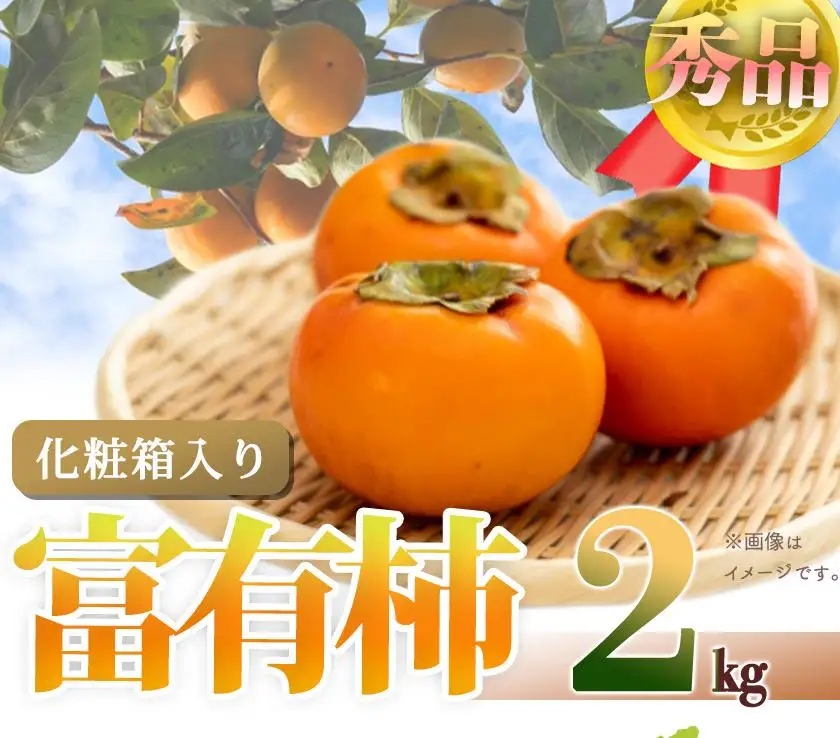 和歌山秋の味覚　富有柿　約２ｋｇ化粧箱入「2026年11月上旬以降発送予定」［UT49］