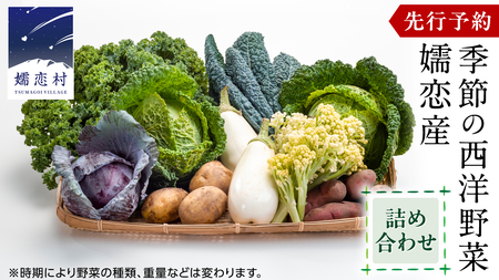 【 7月中旬以降発送開始 】 嬬恋産 季節の 西洋野菜 詰め合わせ 先行予約 2026年発送 [AG001tu]