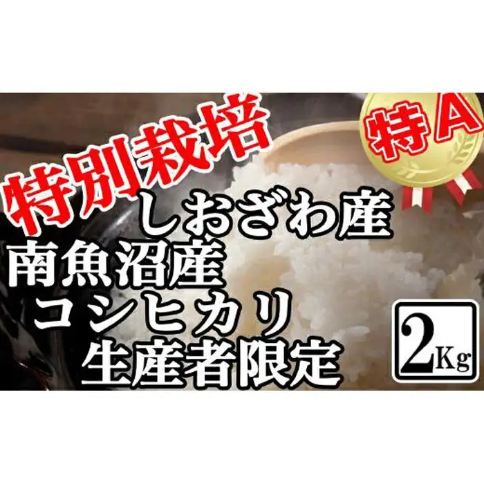 【令和7年産】特別栽培 生産者限定 南魚沼しおざわ産コシヒカリ2Kg【銘柄米 ブランド米 精米 こしひかり コシヒカリ 魚沼産 新潟米 産地直送 お米 米 こめ コメ ご飯 御飯 ごはん】