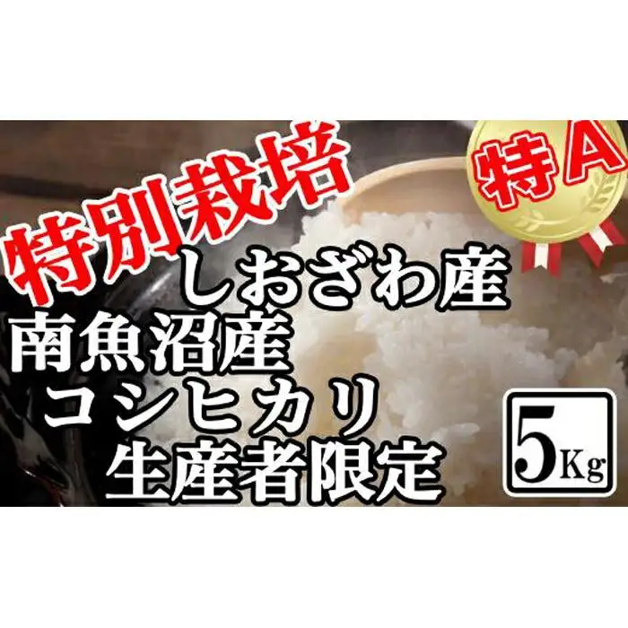 【令和7年産】特別栽培 生産者限定 南魚沼しおざわ産コシヒカリ5Kg【銘柄米 ブランド米 精米 こしひかり コシヒカリ 魚沼産 新潟米 産地直送 お米 米 こめ コメ ご飯 御飯 ごはん】