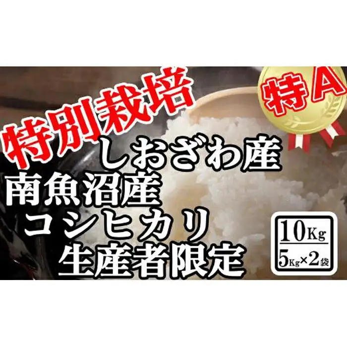 【令和7年産】特別栽培 生産者限定 南魚沼しおざわ産コシヒカリ10Kg【銘柄米 ブランド米 精米 こしひかり コシヒカリ 魚沼産 新潟米 産地直送 お米 米 こめ コメ ご飯 御飯 ごはん】