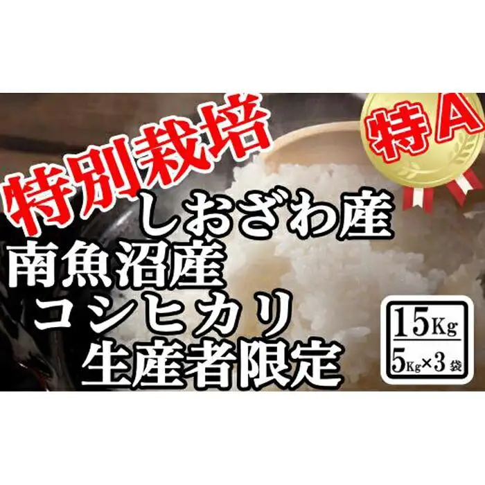 【令和7年産】特別栽培 生産者限定 南魚沼しおざわ産コシヒカリ15Kg【銘柄米 ブランド米 精米 こしひかり コシヒカリ 魚沼産 新潟米 産地直送 お米 米 こめ コメ ご飯 御飯 ごはん】