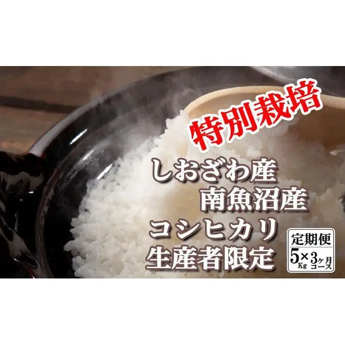 【令和7年産】【定期便：5Kg×3ヶ月】特別栽培 生産者限定  南魚沼しおざわ産コシヒカリ【定期便 銘柄米 ブランド米 精米 こしひかり コシヒカリ 魚沼産 新潟米 産地直送 お米 米 こめ コメ ご飯 御飯 ごはん】