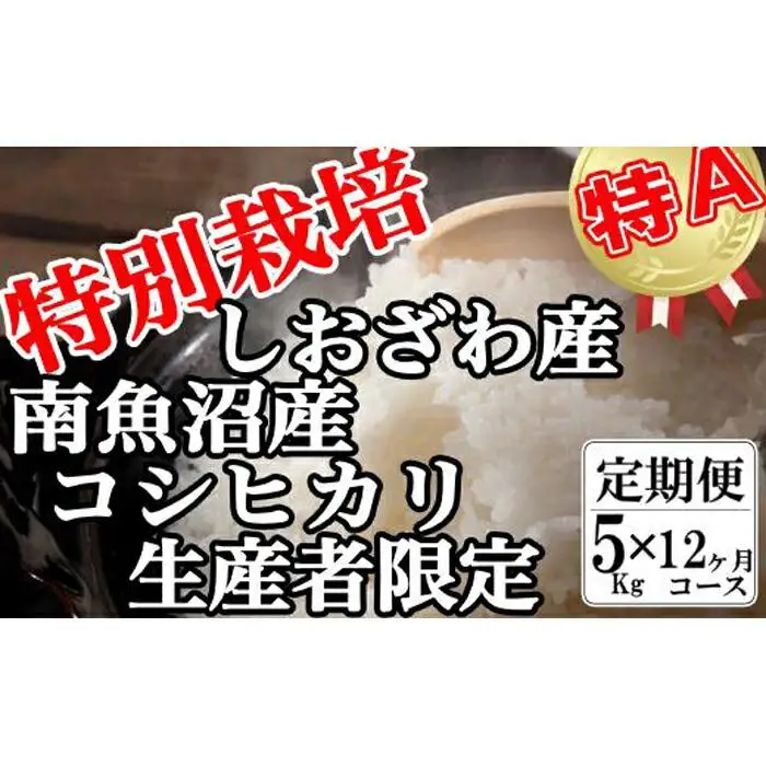 【令和7年産】【定期便：5Kg×12ヶ月】特別栽培 生産者限定 南魚沼しおざわ産コシヒカリ【定期便 銘柄米 ブランド米 精米 こしひかり コシヒカリ 魚沼産 新潟米 産地直送 お米 米 こめ コメ ご飯 御飯 ごはん】