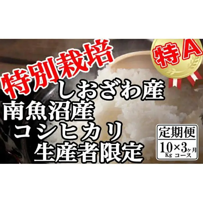 【令和7年産】【定期便：10Kg×3ヶ月】特別栽培 生産者限定  南魚沼しおざわ産コシヒカリ【定期便 銘柄米 ブランド米 精米 こしひかり コシヒカリ 魚沼産 新潟米 産地直送 お米 米 こめ コメ ご飯 御飯 ごはん】