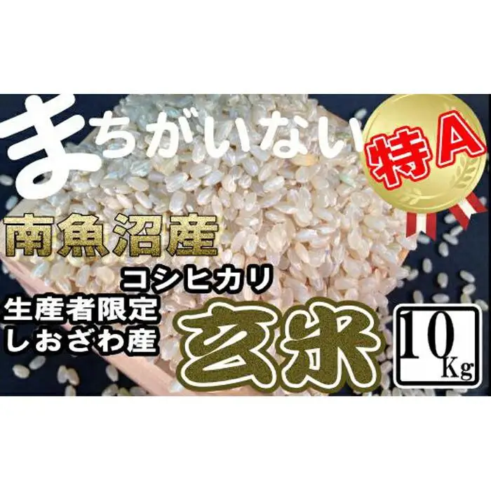 【令和7年産】玄米 生産者限定 南魚沼しおざわ産コシヒカリ10Kg【銘柄米 ブランド米 玄米 こしひかり コシヒカリ 魚沼産 新潟米 産地直送 お米 米 こめ コメ ご飯 御飯 ごはん】