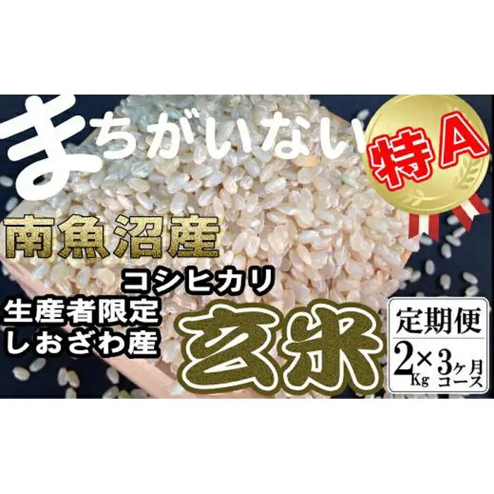 【令和7年産】【定期便】玄米 生産者限定 南魚沼しおざわ産コシヒカリ2Kg×3ヶ月【定期便 銘柄米 ブランド米 玄米 こしひかり コシヒカリ 魚沼産 新潟米 産地直送 お米 米 こめ コメ ご飯 御飯 ごはん】