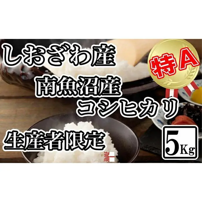 【令和7年産】生産者限定 契約栽培 南魚沼しおざわ産コシヒカリ5Kg【2025年10月上旬より順次発送予定】【銘柄米 ブランド米 精米 こしひかり コシヒカリ 魚沼産 新潟米 産地直送 お米 米 こめ コメ ご飯 御飯 ごはん】