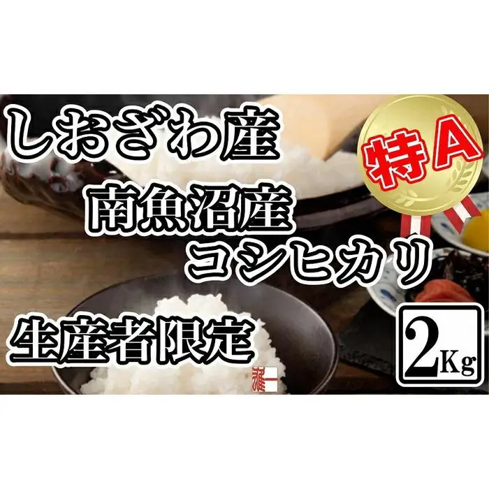 【令和7年産】生産者限定 契約栽培 南魚沼しおざわ産コシヒカリ2Kg【2025年10月上旬より順次発送予定】【銘柄米 ブランド米 精米 こしひかり コシヒカリ 魚沼産 新潟米 産地直送 お米 米 こめ コメ ご飯 御飯 ごはん】