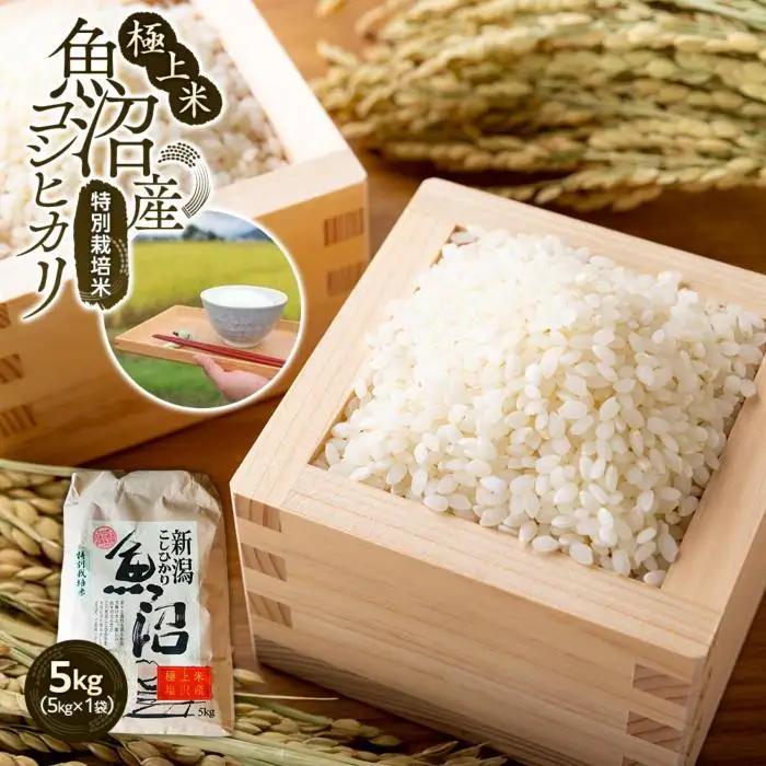 【令和7年産】極上米魚沼産コシヒカリ特別栽培米５kg【銘柄米 ブランド米 精米 こしひかり コシヒカリ 魚沼産 新潟米 産地直送 お米 米 こめ コメ ご飯 御飯 ごはん】