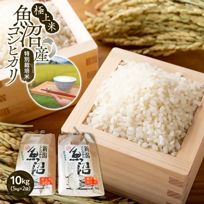 【令和7年産】極上米魚沼産コシヒカリ特別栽培米１０kg(５kg×２)【銘柄米 ブランド米 精米 こしひかり コシヒカリ 魚沼産 新潟米 産地直送 お米 米 こめ コメ ご飯 御飯 ごはん】