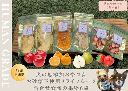FB136_犬の無添加おやつ☆お砂糖不使用ドライフルーツ☆旬の果物６袋【定期便】全１２回