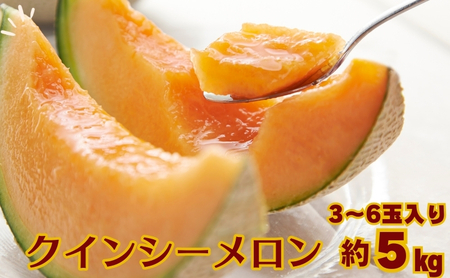 クインシー メロン（赤肉）約5kg 果物類 フルーツ メロン赤肉 