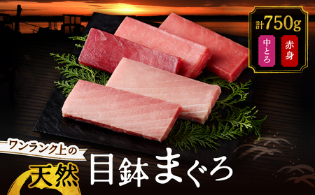 ワンランク上の天然目鉢鮪中とろ・赤身セット 750g M024-003 冷凍 マグロ