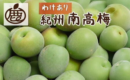 ＜6月発送＞家庭用 紀州南高梅(青梅)2kg+250g（傷み補償分）｜梅 和歌山産