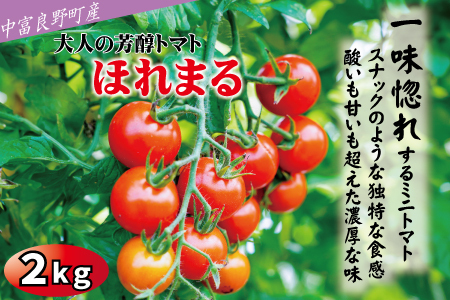 【2026年発送】【中富良野町】寺坂農園ミニトマト　ほれまる　2kg 【BF-005】