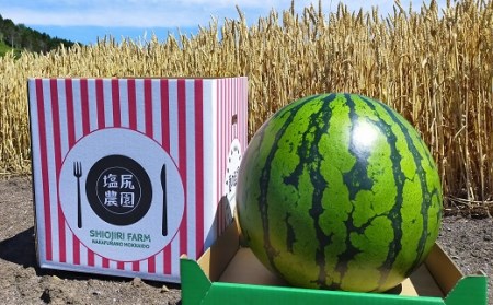 夏の至福スイカ　特L12kg～15kg【BJ-001】