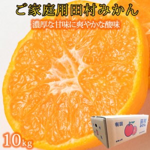 【先行予約】【ご家庭用訳あり】田村みかん　１０kg