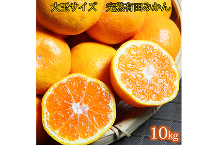 【先行予約】大玉サイズ　完熟有田みかん　１０kg