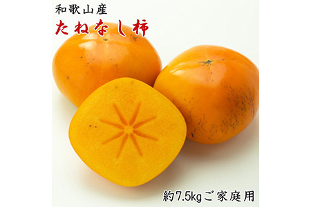 【秋の味覚】和歌山産のたねなし柿ご家庭用約7.5kg◇